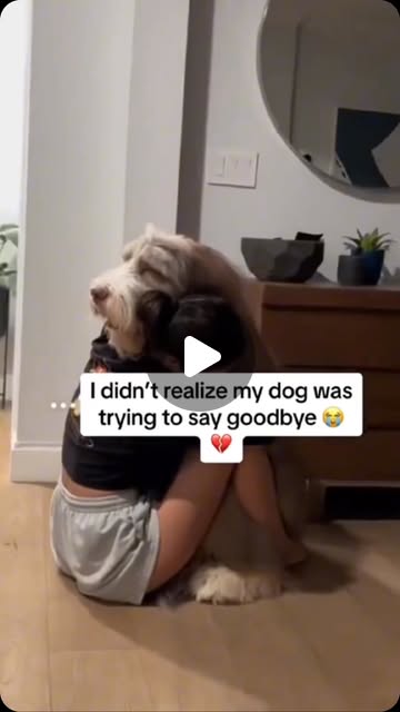 Instagram reel by @pettalkwithalex: How Do Animals View Death? 🌱 Wondering what your pet has to say? Comment “PAWS” and I’ll 